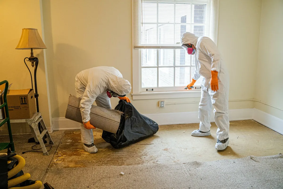 Damage Restoration 24/7