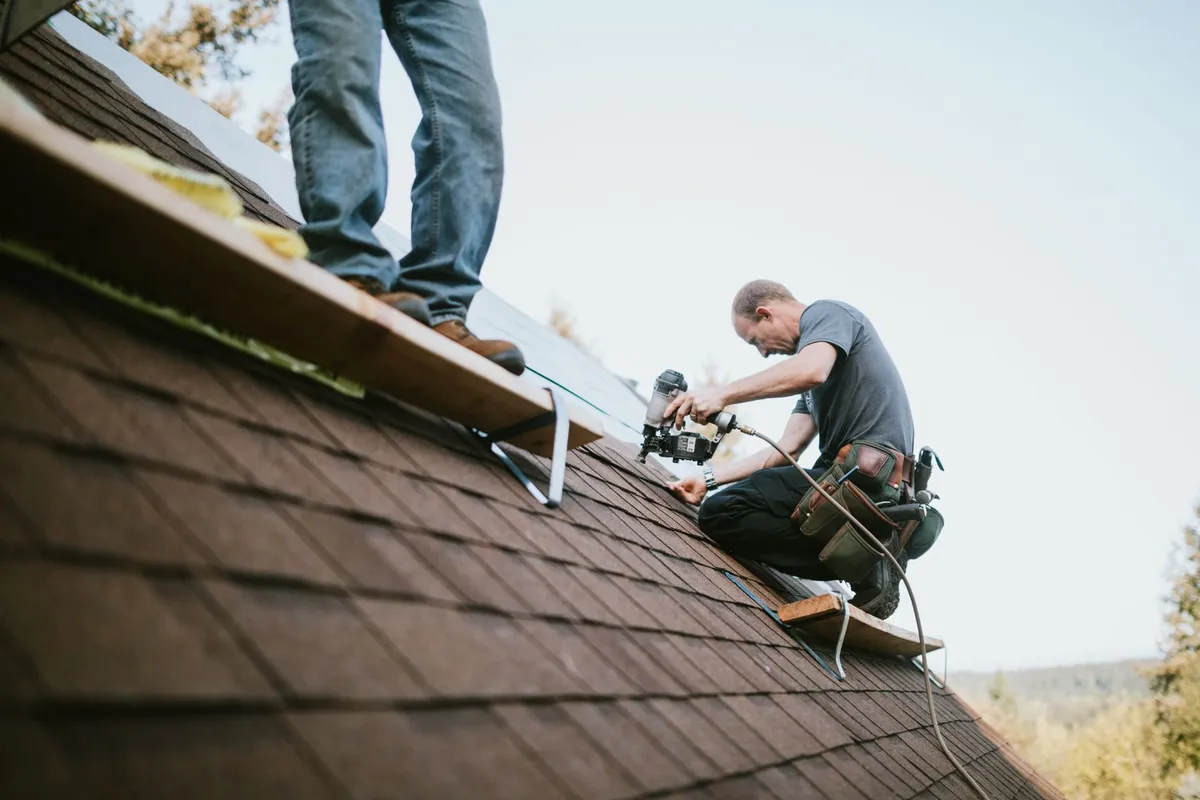 Two roofers installing brown asphalt shingles with nail guns